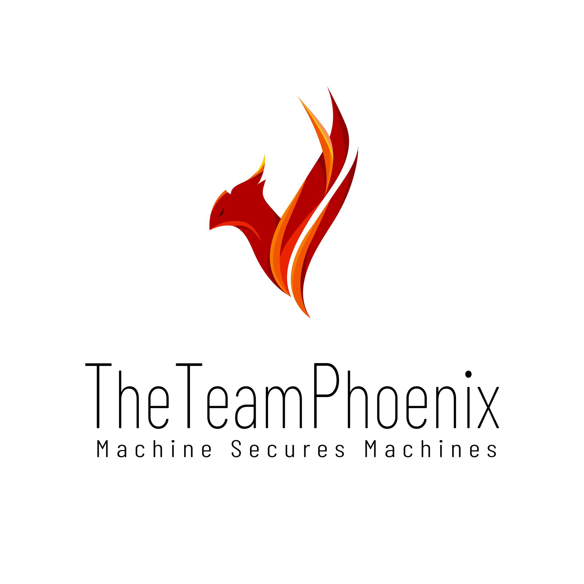 The Team Phoenix Group